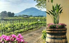 Vesuvio Inn Guest House e Wine Experience